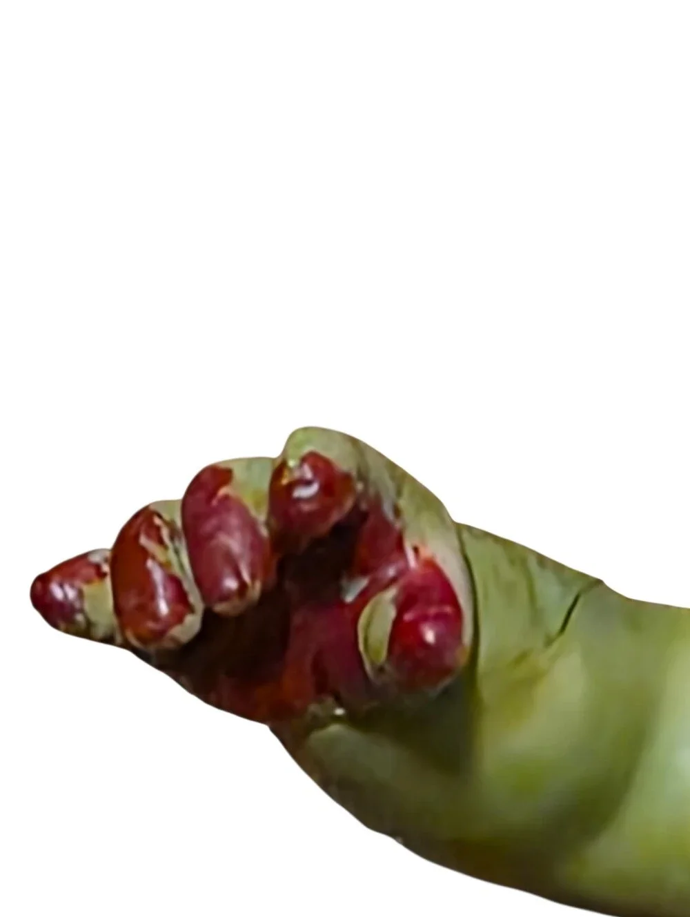 N/A zombie doll